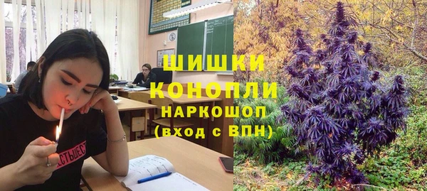 стафф Каменногорск