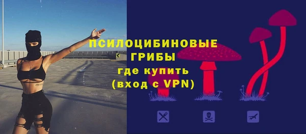 стафф Каменногорск