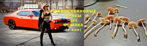 кристаллы Каменка